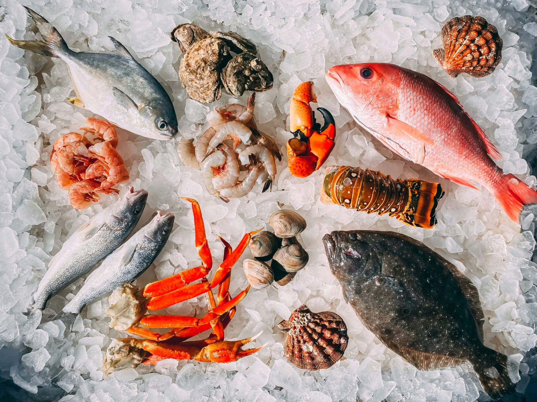 The Best Restaurants in Lisbon